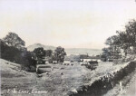 Low Lane, Greenbottom Farm